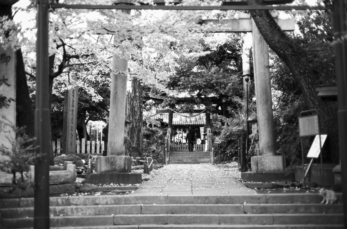 いつか来た街・椎名町｜Leica M10 Monochrom + C Sonnar T* 1.5/50 ZM