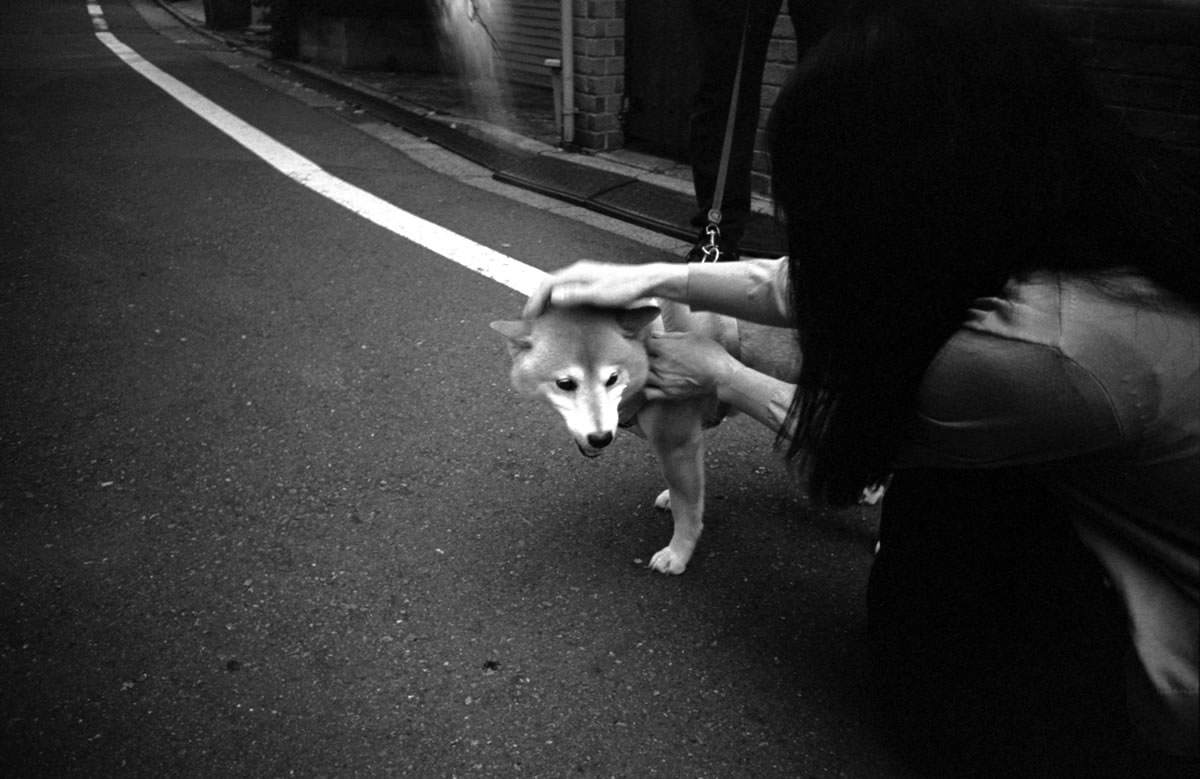 ワンコと触れ合いの旅｜Leica M3 + SUMMARON-M f5.6/28mm + Fomapan 400 Action