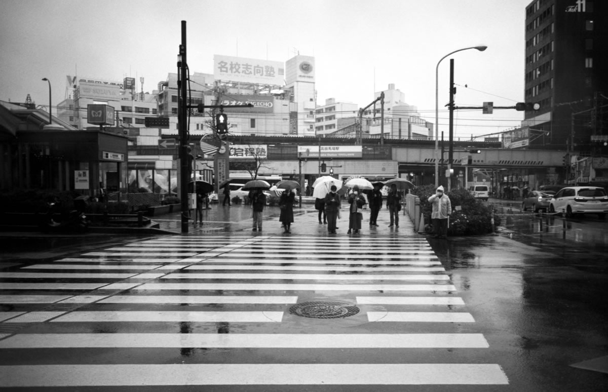 ズマロン28に不運が訪れようとは|Leica M5 + SUMMARON-M f5.6/28mm + Fomapan 200 Creative
