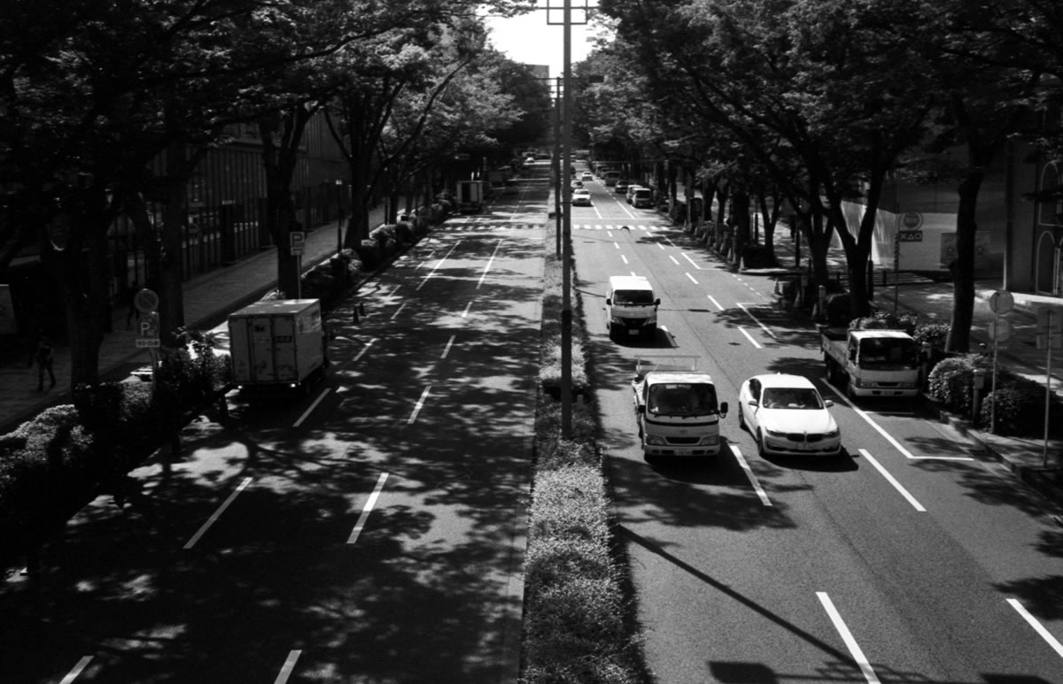 表参道｜Rollei 35S + Fomapan 400 Action