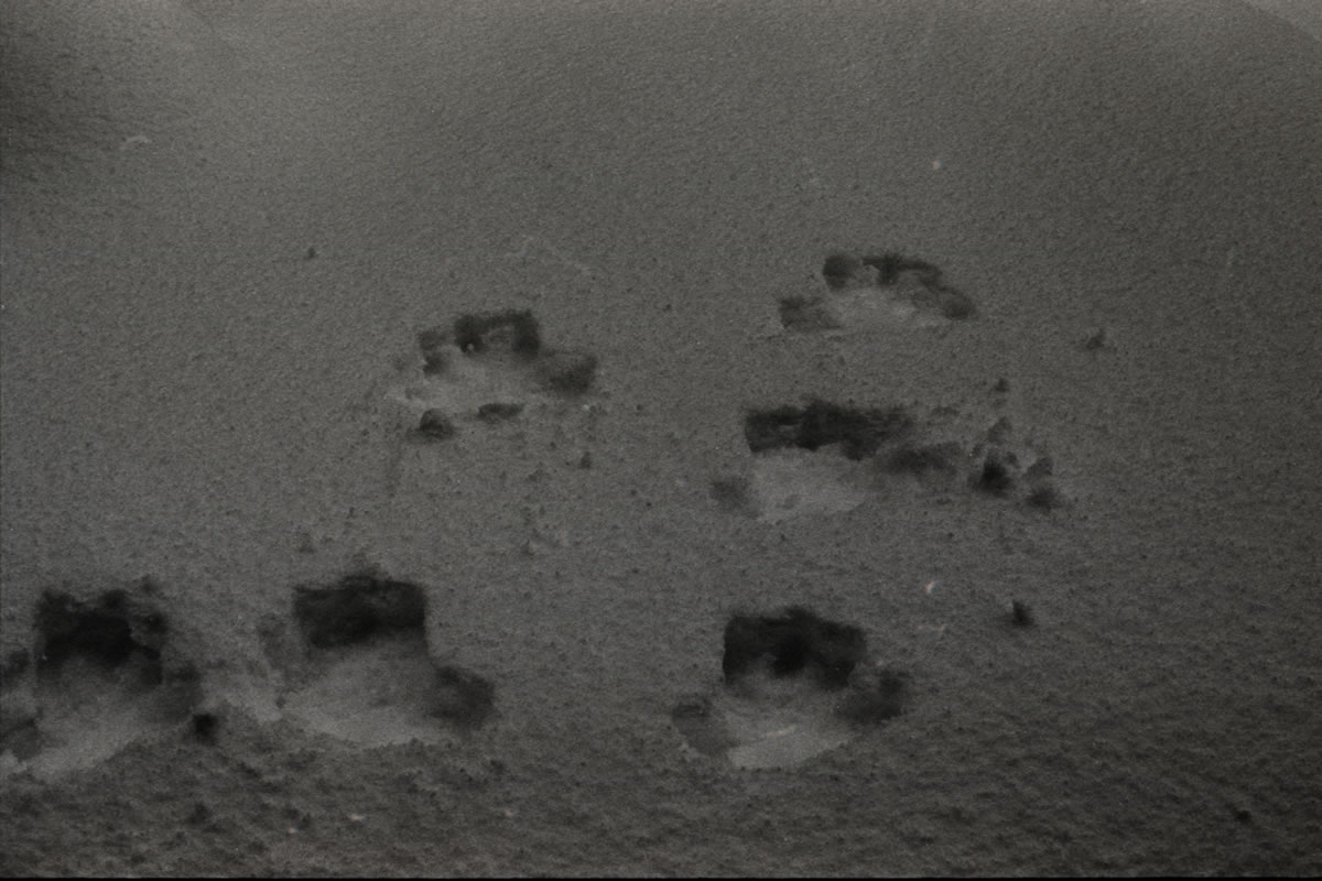 長岡に足跡を残す｜Nikon F3 Limited + AI Nikkor 50mm f/1.2S + Marix 400