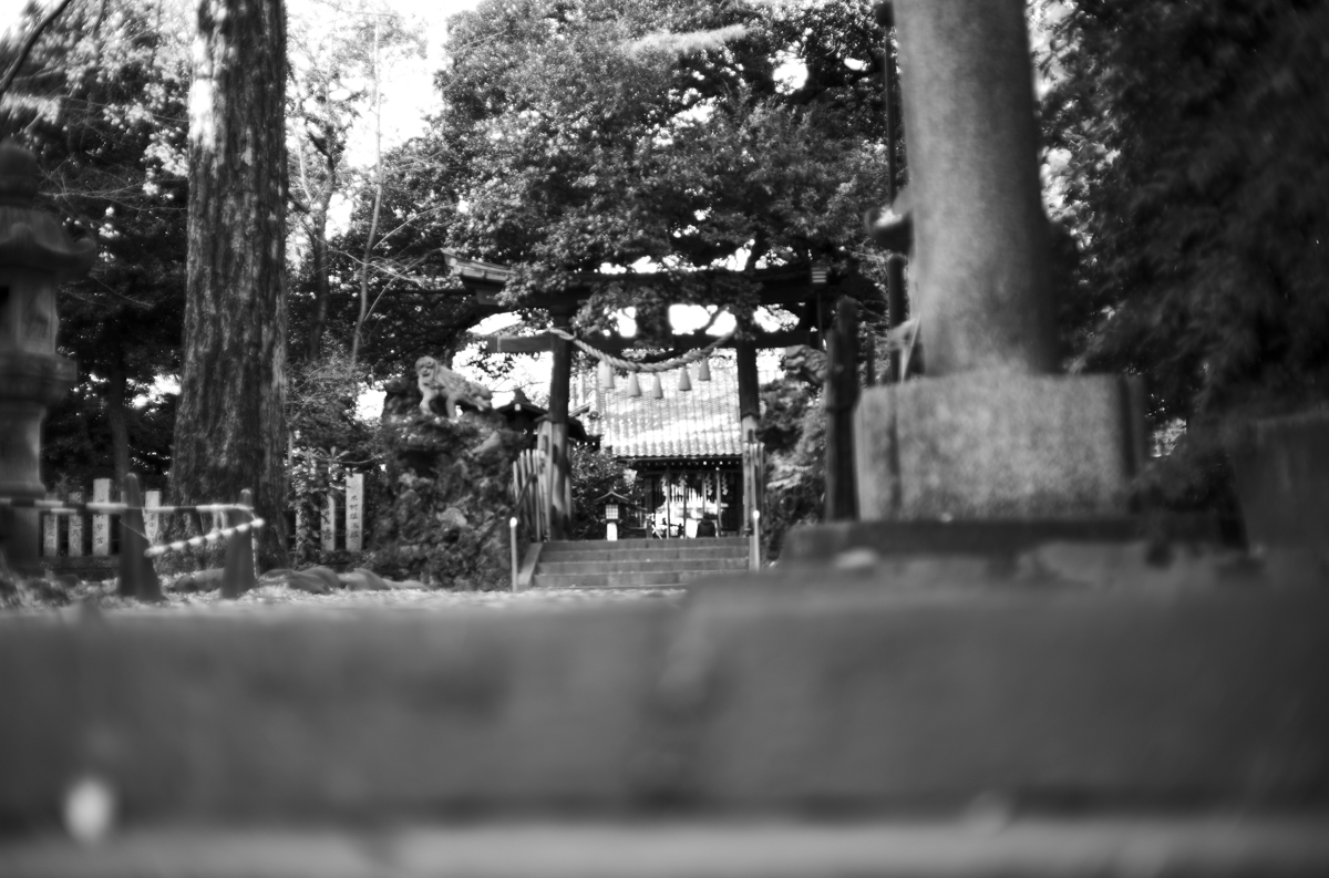 椎名町には美味いものがあるのだ｜Leica M10 Monochrom + C Sonnar T* 1.5/50 ZM