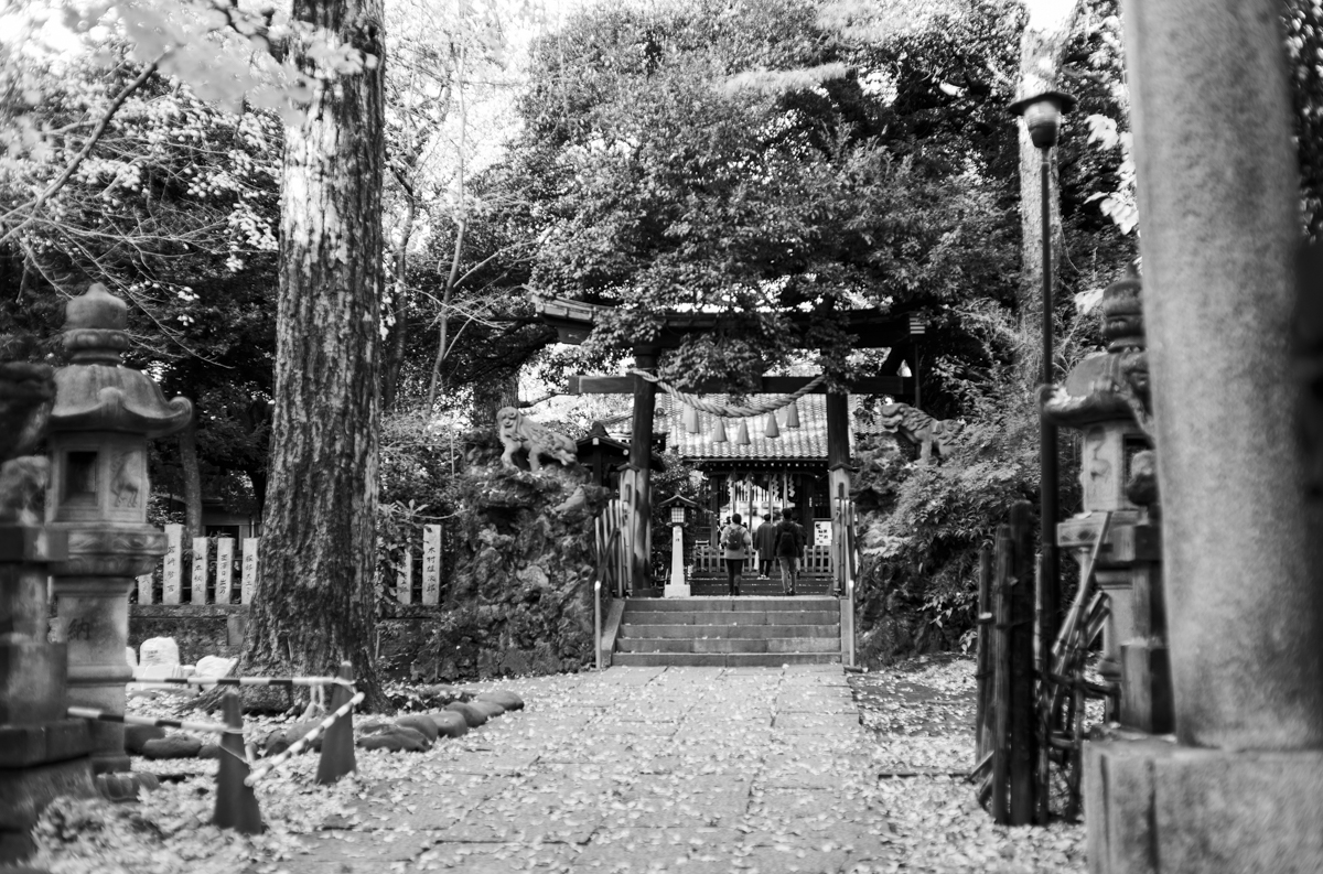 椎名町の長崎神社｜Leica M10 Monochrom + C Sonnar T* 1.5/50 ZM