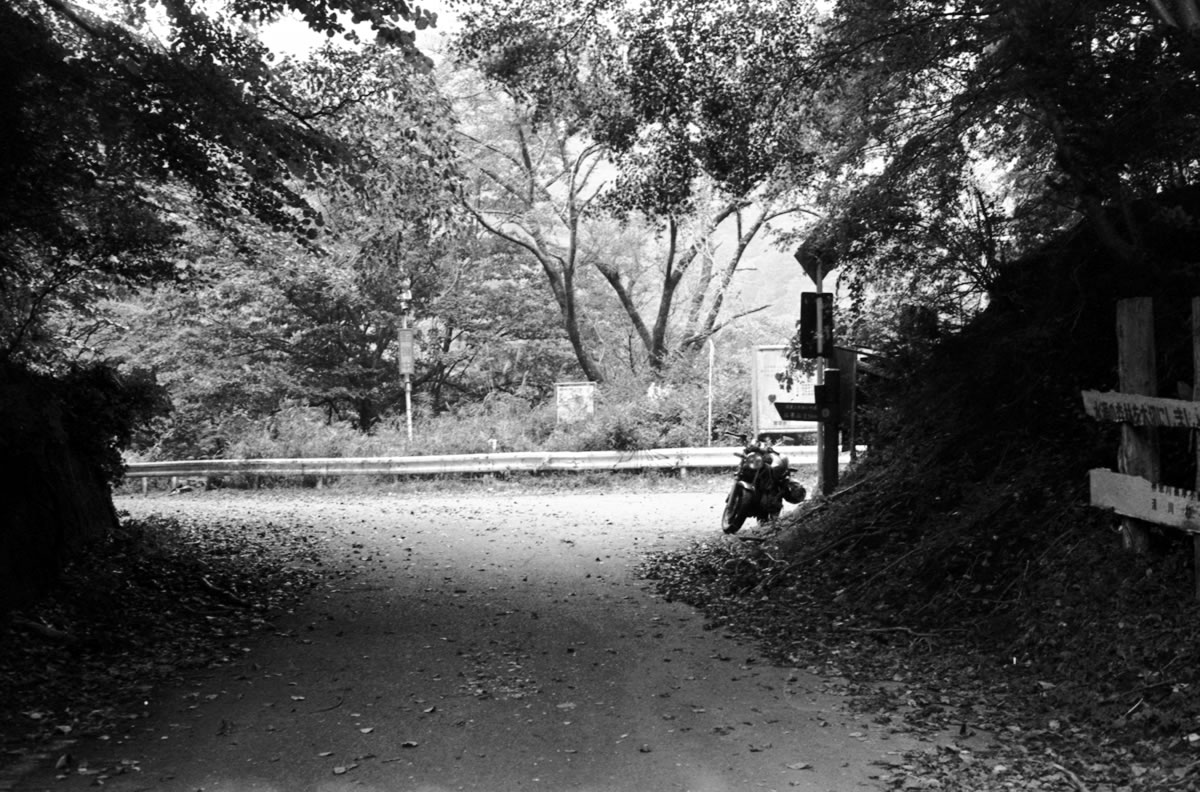 自転車とM3の組み合わせは初めてかも｜Leica M3 + DR Summicron 1:2/50mm + Marix 400