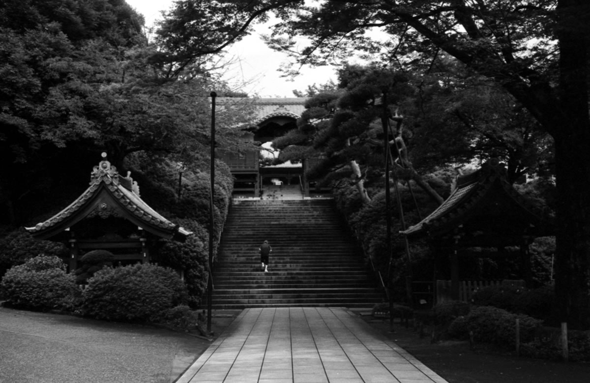 護国寺に到着｜Rollei 35S + Fomapan 400 Action