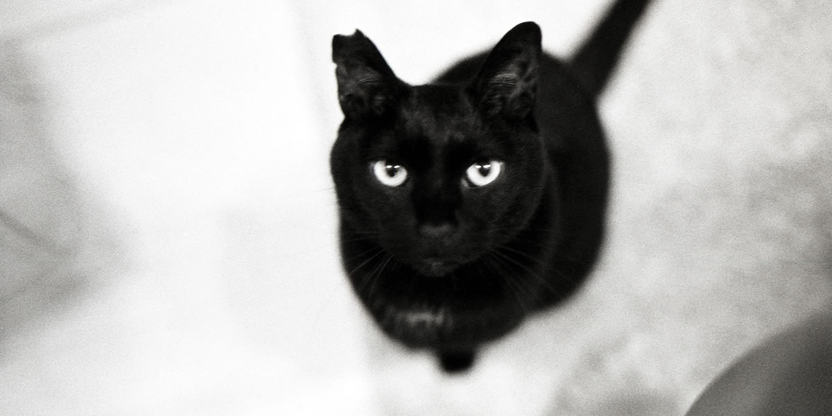 撮影レンズを思い出せません|(仮)Nikon F3 Limited + AI Nikkor 35mm f/1.4S + Marix 400