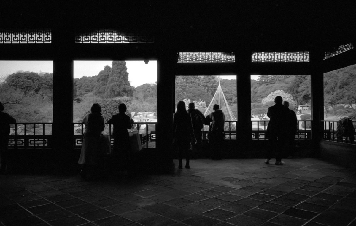 新宿御苑の台湾館｜Leica M5 + SUMMARON-M f5.6/28mm + Fomapan 400 Action