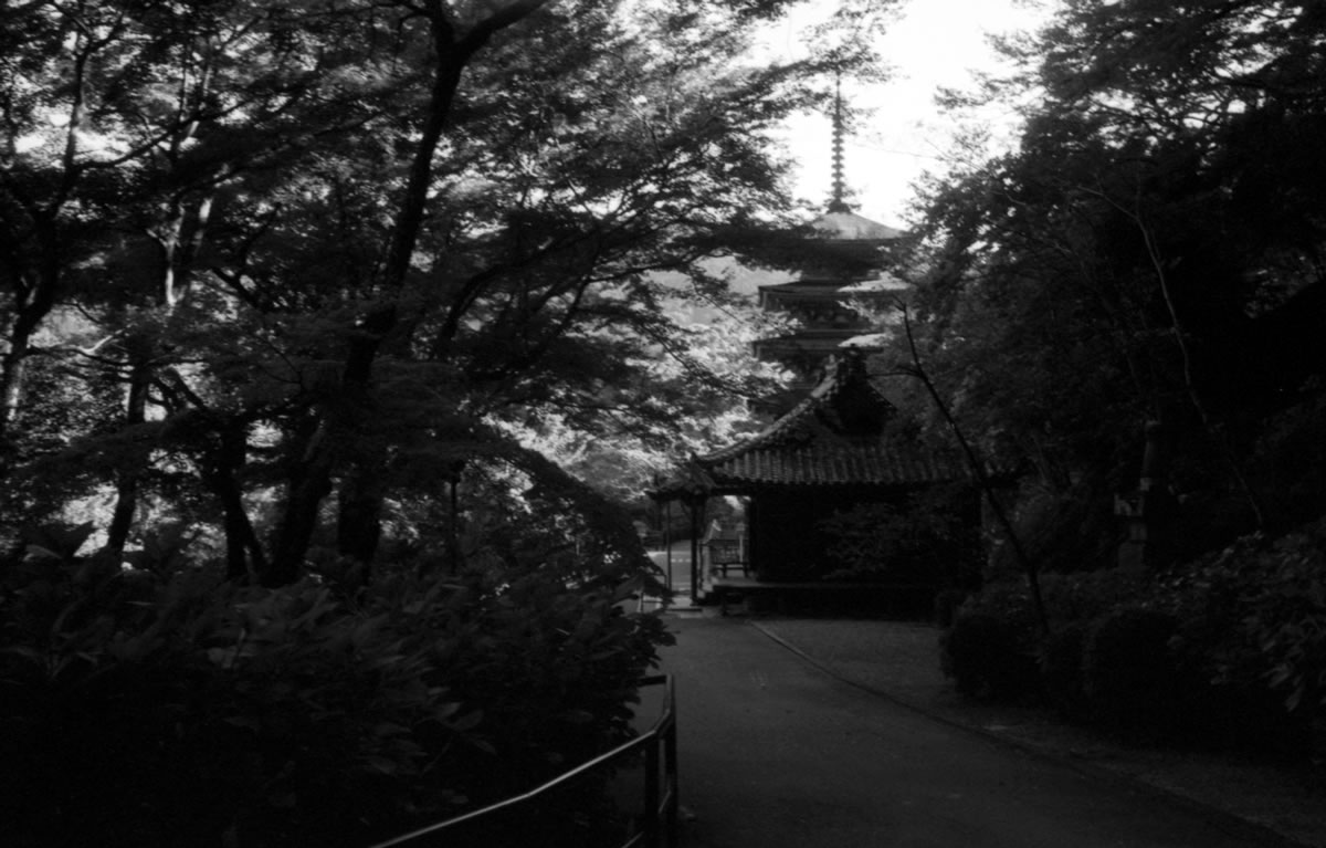 本堂の奥には五重塔が｜Leica M5 + Summaron 35mm F3.5 with goggles + Fomapan200 Creative