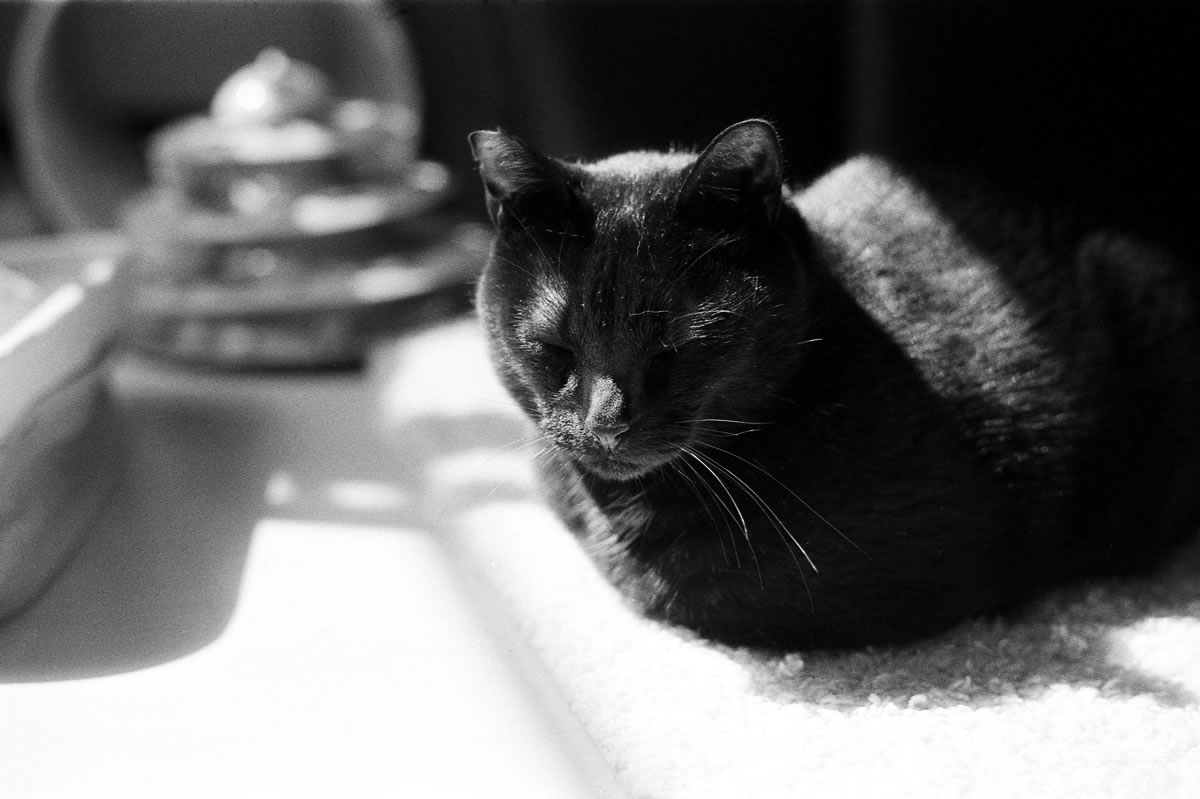 ズミルックスは良いレンズだのぅ。。。｜Leica M5 + SUMMILUX-M f1.4/50mm ASPH. + Marix 400