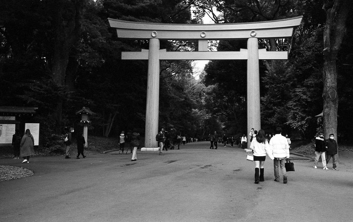 こちらは明治神宮｜Leica M3 + Summaron 35mm F3.5 with goggles + ILFORD HP5 PLUS