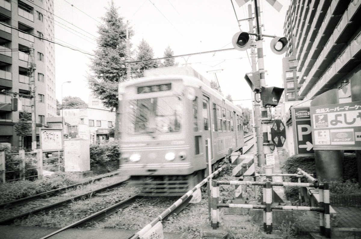 都電荒川線が来た｜Leica M10 Monochrom + SUMMARON-M f5.6/28mm