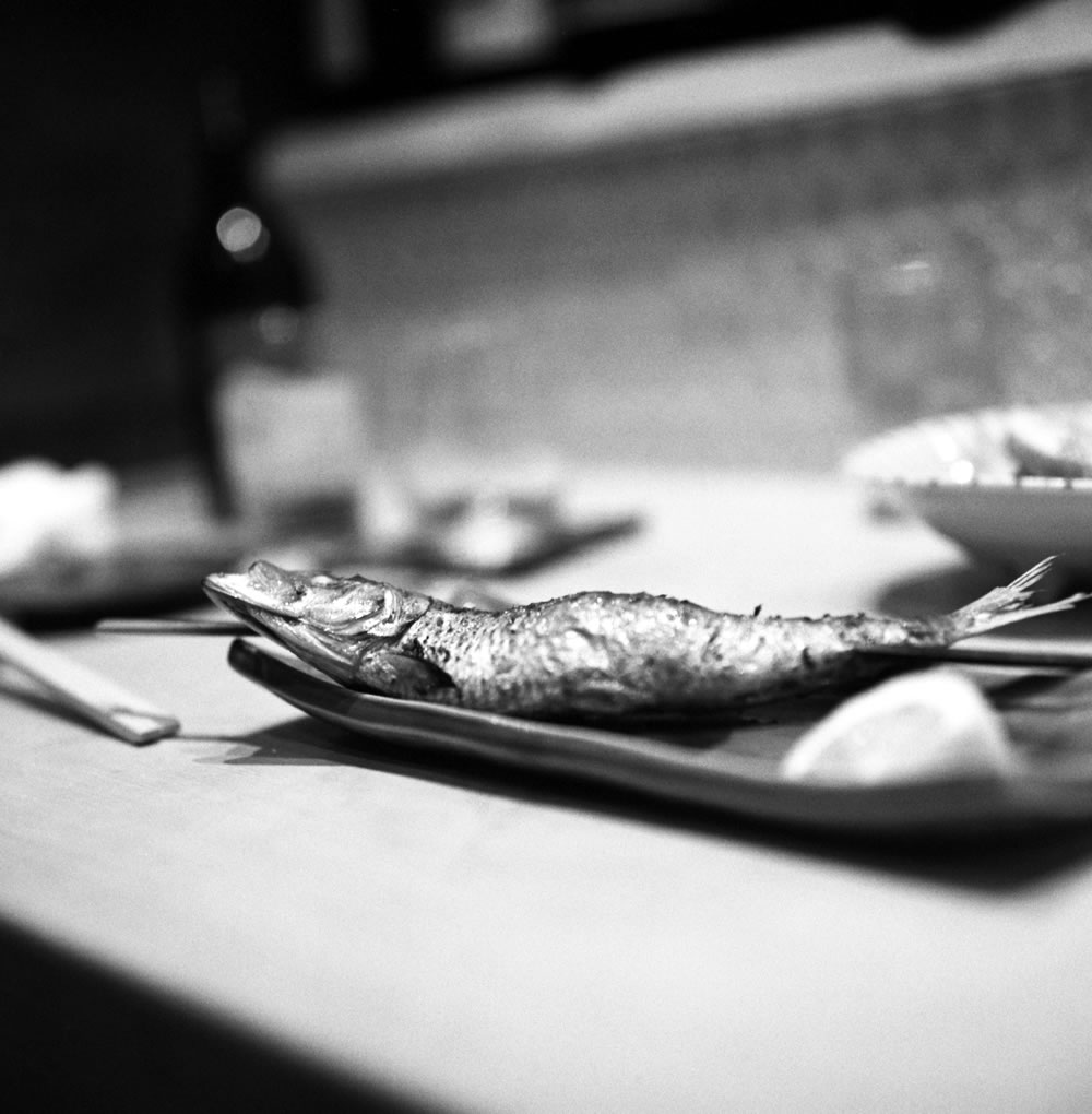 魚がとにかく目白クオリティを超えてます(◎_◎;)｜ROLLEIFLEX 2.8F + Rolleinar 1 Bay III + Fomapan 400 Action