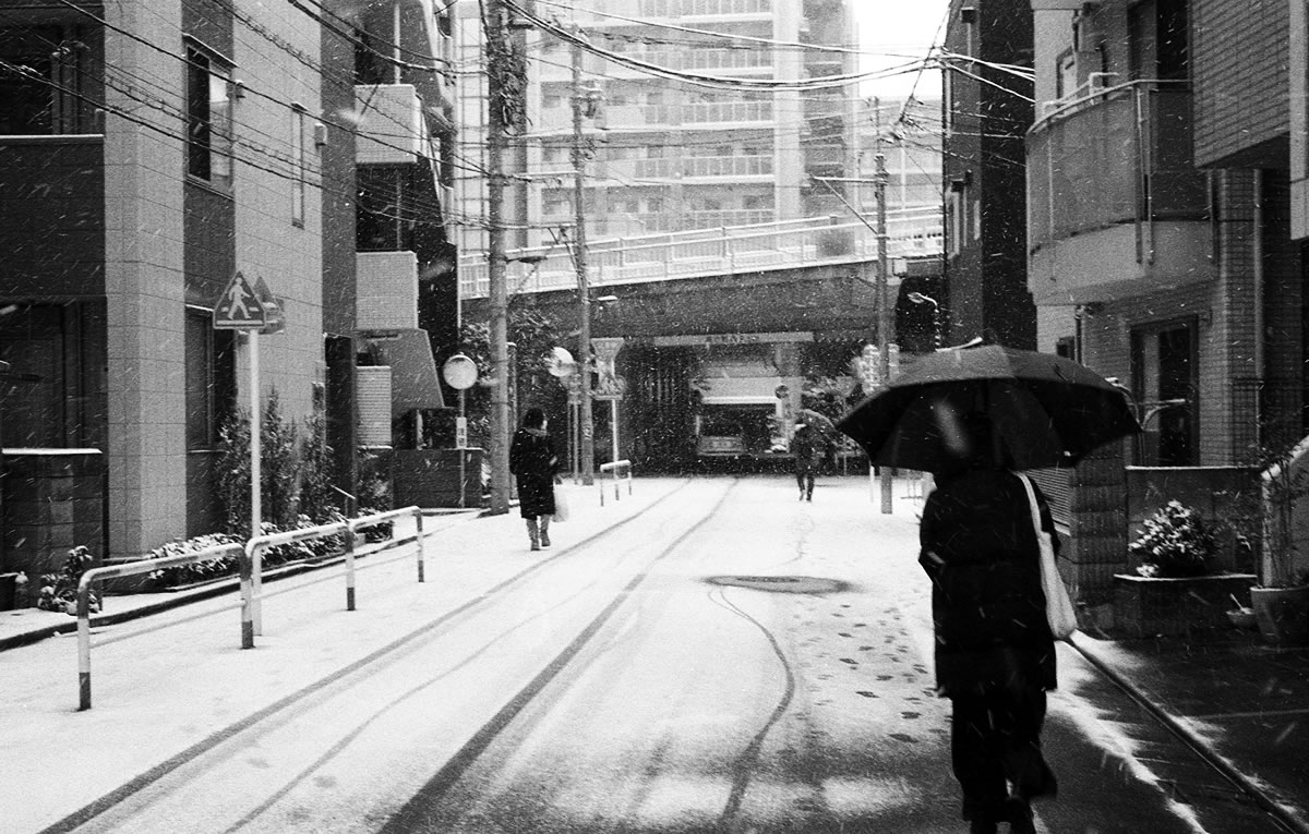 東京に雪が降りました|Leica M5 + SUMMILUX-M f1.4/50mm ASPH. + Marix 400