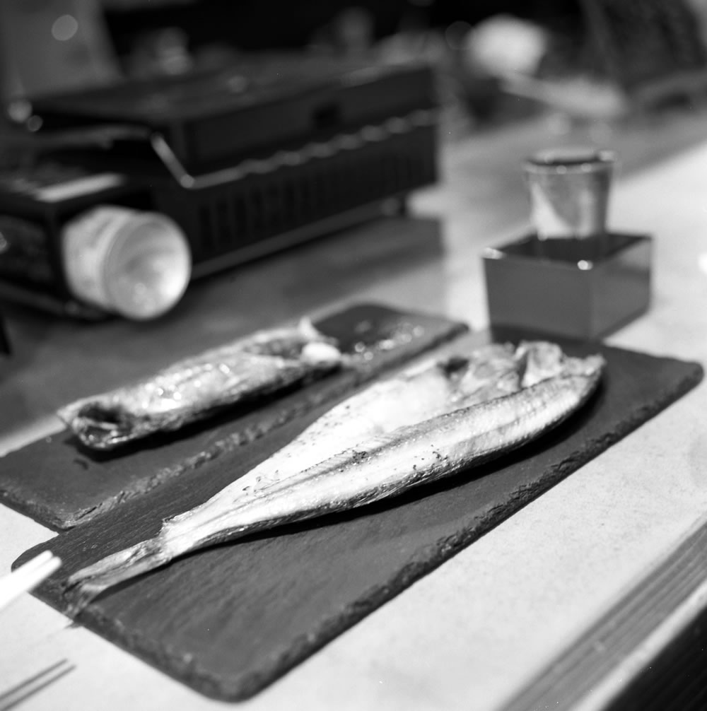 肉厚干物がすぐにできます｜ROLLEIFLEX 3.5F + Rolleinar 1 Bay II + Kentmere 400