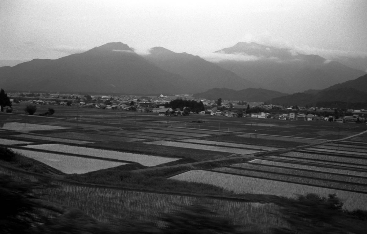 魚沼盆地｜Rollei 35S + Fomapan 400 Action