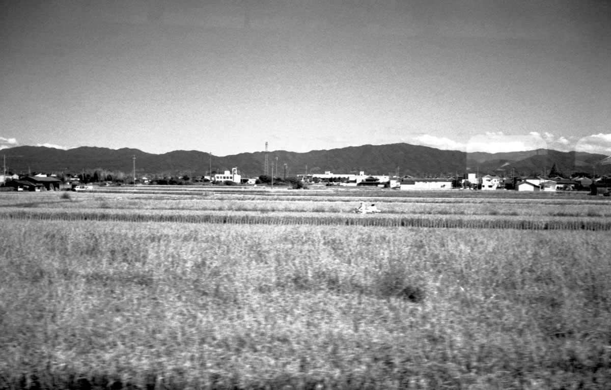 近鉄線の車窓｜Leica M5 + Summaron 35mm F3.5 with goggles + Fomapan200 Creative