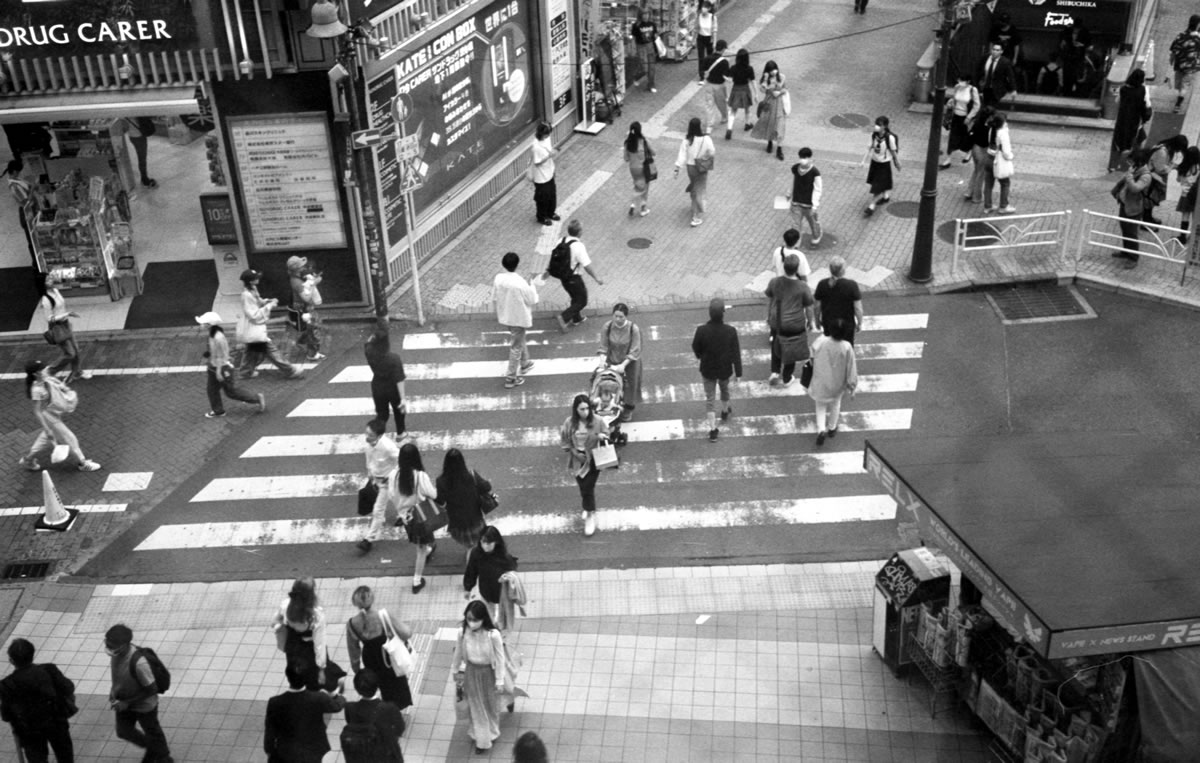 ローライ35S、目測でも全然ピント合います｜Rollei 35S + Fomapan 400 Action