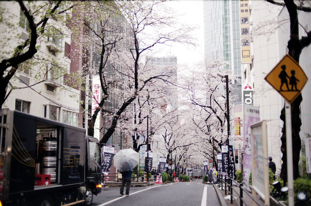 AI Nikkor 35mm f/1.4Sテストショット①｜Nikon F3 Limited + AI Nikkor 35mm f/1.4S + KODAK Color Plus 200