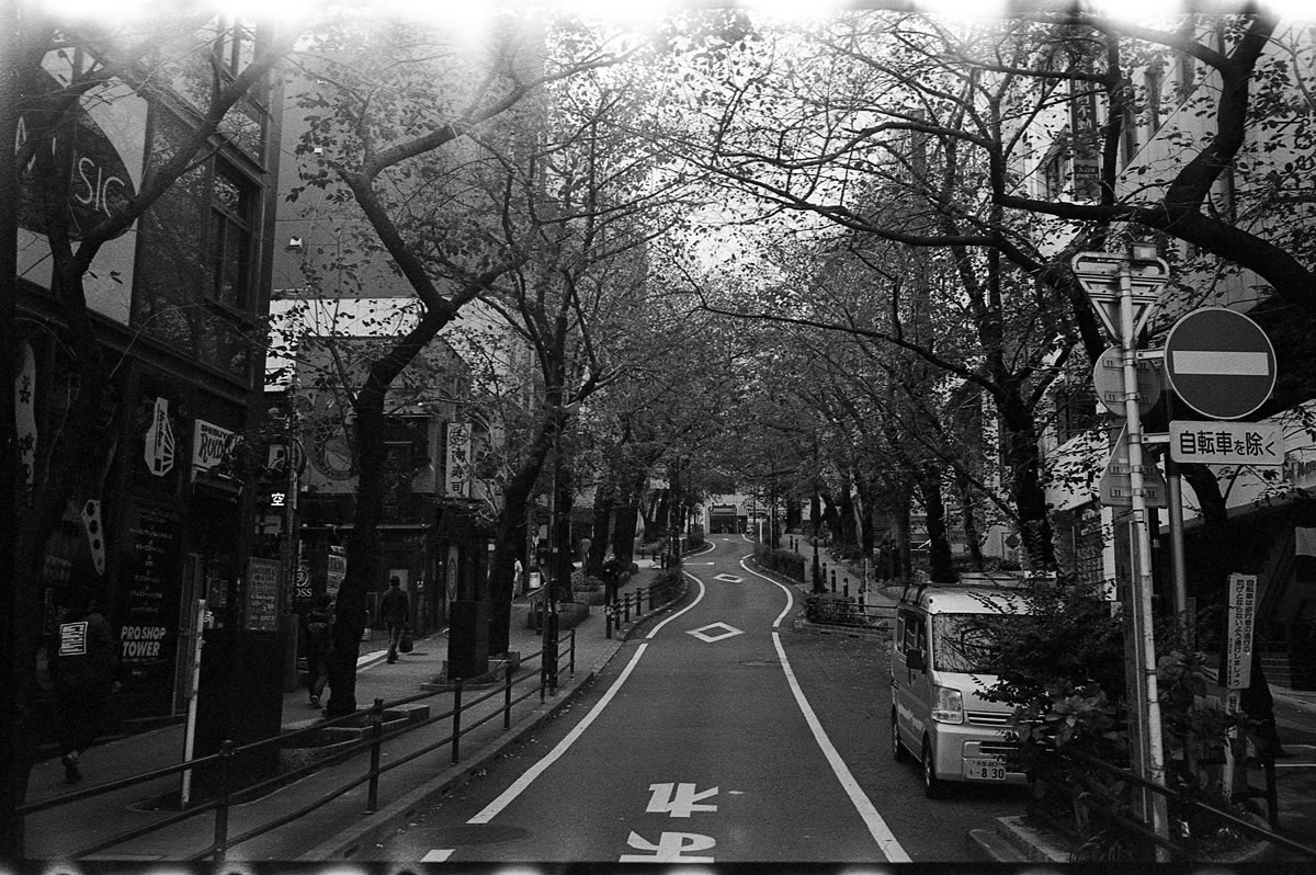 Leica M5と失敗写真⑪｜Leica M5 + C Sonnar T* 1.5/50 ZM + Kodak TRI-X 400